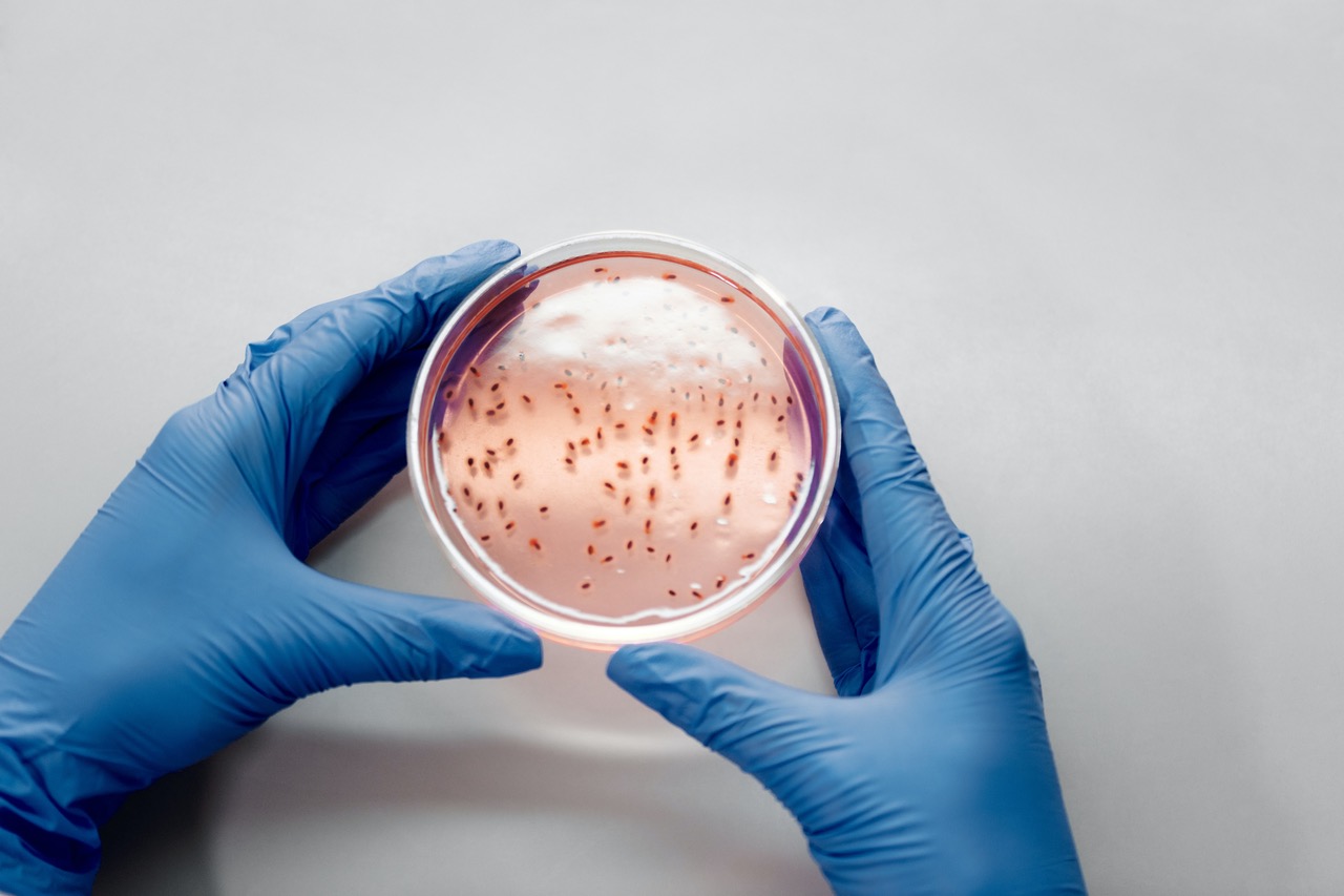 Send In The Clones: Looking To The Future Of Constitutional Cloning.