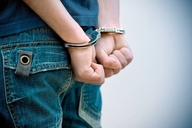 Juveniles in the Adult World of Crime