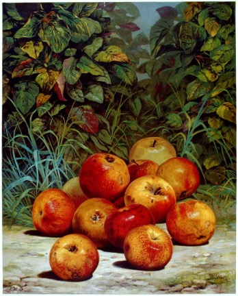 Like Apples & Oranges: What In re Vetements Group AG Gets Right, and Executive Order 14224 Gets Wrong, About the Importance of Extending Trademark Protections to Non-English Languages